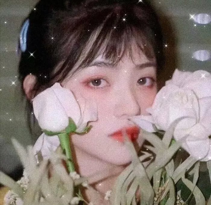 火燄山恩仇记