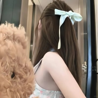 精忠岳飞